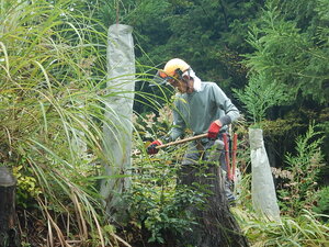 DSCN3179.JPG