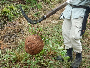 DSCN3196.JPG