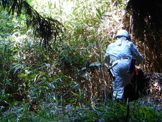 DSCN3198.JPG