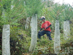 DSCN3200.JPG
