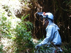 DSCN3207.JPG