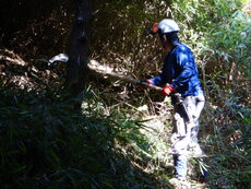 DSCN3209.JPG
