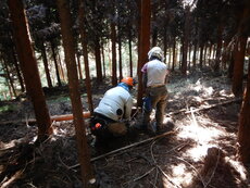 DSCN3212.JPG