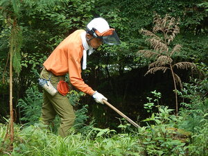 DSCN3227.JPG