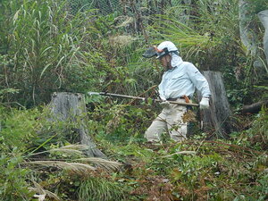 DSCN3236.JPG