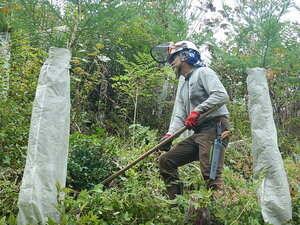 DSCN3241.JPG