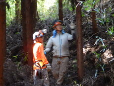 DSCN3242.JPG