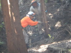 DSCN3247.JPG