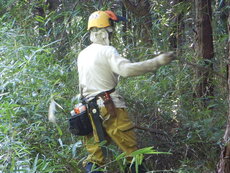 DSCN3277.JPG