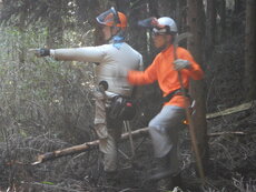 DSCN3294.JPG