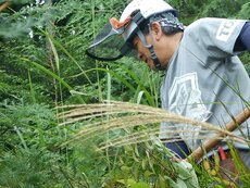 DSCN3305.JPG