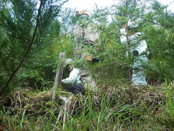 DSCN3323.JPG