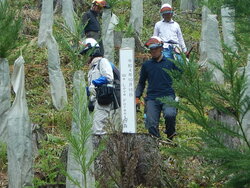 DSCN3340.JPG
