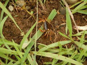 DSCN3380.JPG