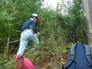 DSCN3381.JPG