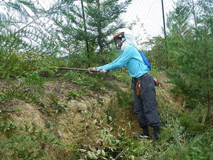 DSCN3386.JPG