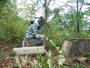 DSCN3391.JPG