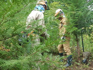 DSCN3392.JPG