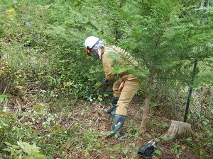 DSCN3394.JPG