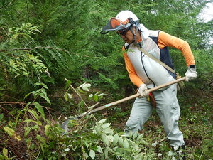 DSCN3399.JPG