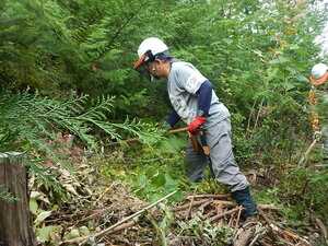 DSCN3402.JPG