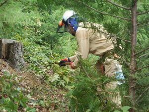DSCN3408.JPG