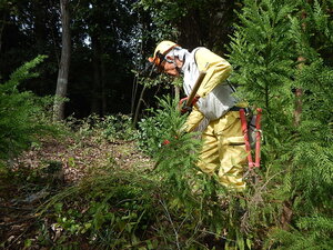 DSCN3418.JPG