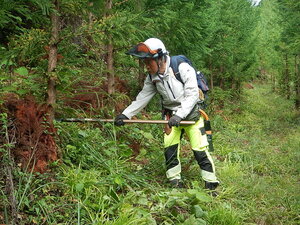 DSCN3426.JPG