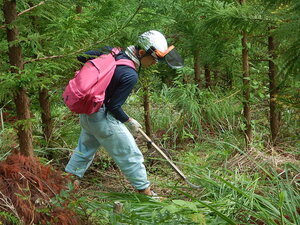 DSCN3427.JPG