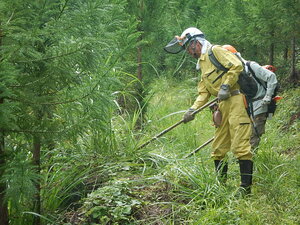 DSCN3428.JPG