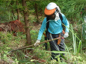 DSCN3430.JPG