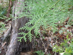 DSCN3441.JPG
