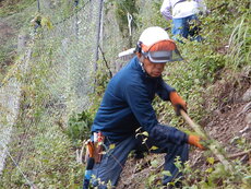 DSCN3531.JPG