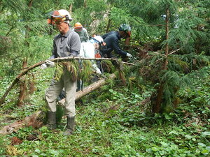 DSCN3572.JPG