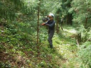 DSCN3583.JPG