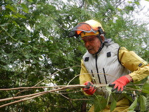 DSCN3597.JPG