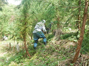 DSCN3606.JPG