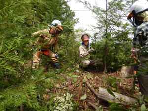 DSCN3615.JPG