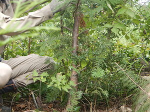 DSCN3623.JPG