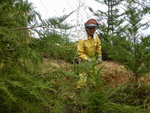 DSCN3636.JPG