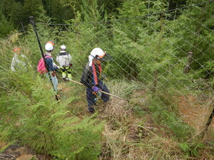 DSCN3648.JPG