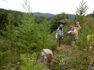 DSCN3673.JPG