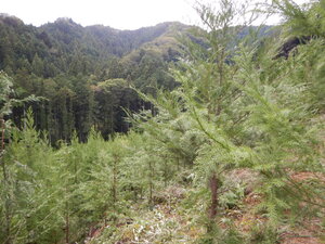 DSCN3688.JPG