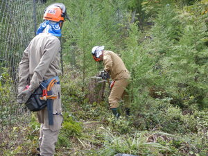DSCN3696.JPG