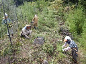 DSCN3702.JPG
