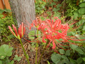 DSCN3890.JPG