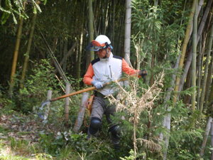 DSCN3947.JPG