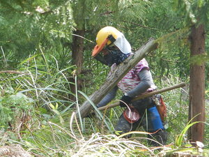 DSCN3951.JPG