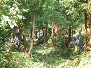 DSCN4004.JPG