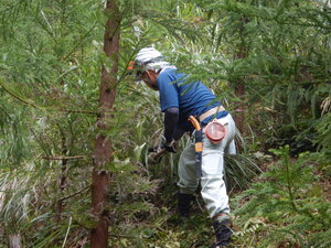 DSCN4017.JPG